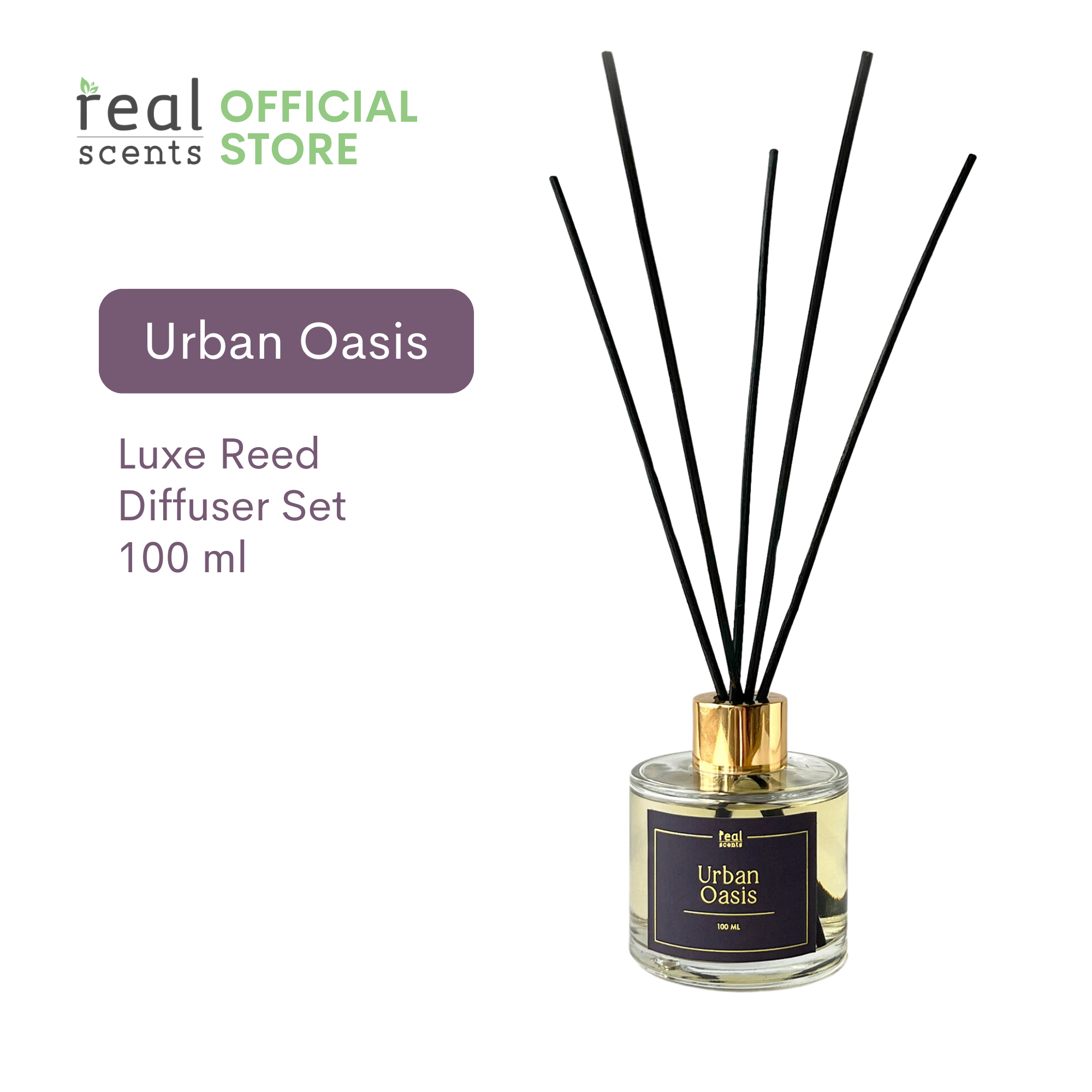 Urban Oasis Reed Diffuser Set |100ml – Real Scents